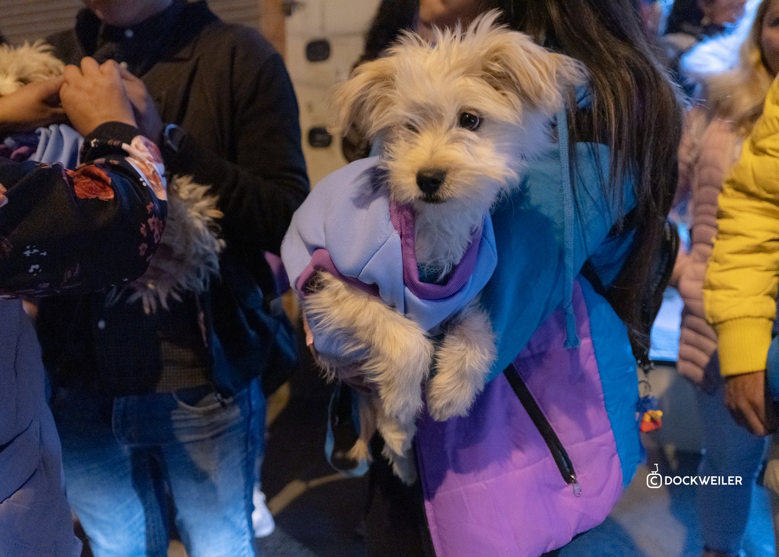 Imagenes de Ciudad Humana